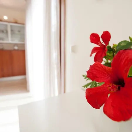 Sunny Rhodes Villa *