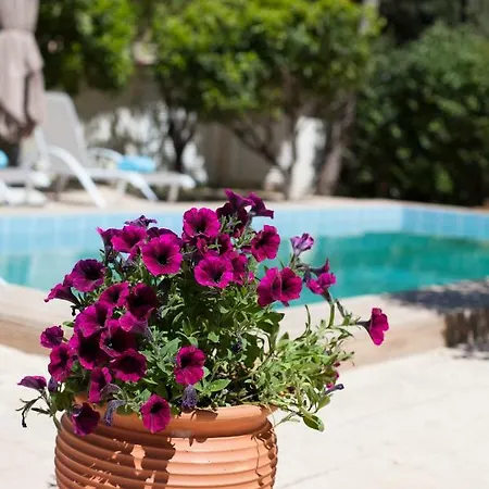 Sunny Rhodes Villa